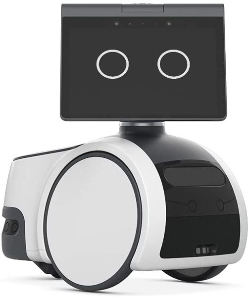 Home top robot price