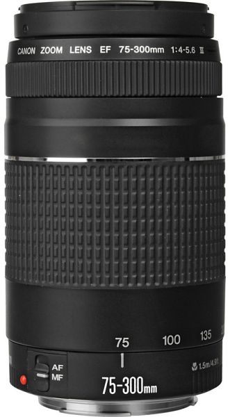 Canon Ef 75 300mm F 4 5 6 Iii Price In Pakistan