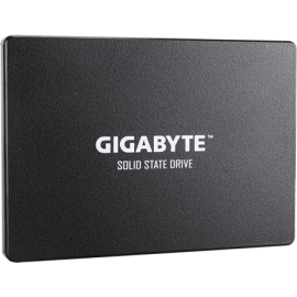 GIGABYTE GP-GSTFS31256GTND SSD 256GB