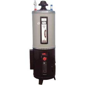 Fischer Heavy Duty Hybrid (Electric Gas Geyser) 25 Gallon