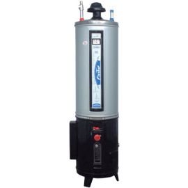 Fischer Heavy Duty Hybrid Electric Gas Geyser 35 Gallon