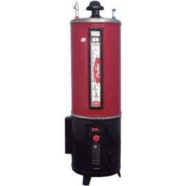 Fischer Heavy Duty Hybrid Electric Gas Geyser 55 Gallon