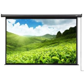 Deli 50443 Projector Screen With Remote