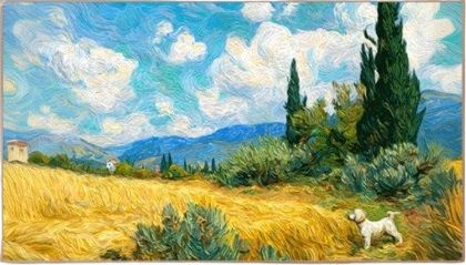 TCL 55A400 Pro 55" QD-Mini LED 4K 144Hz Art TV