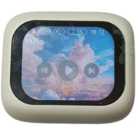 Dongshun TW77 5.4V ANC+ENC Bluetooth Wireless Earbuds