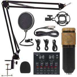 V8 BM-800 Condenser Microphone Metal Body